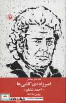 کتاب امیرزاده ی کاشی ها (نقد شعر معاصراحمد شاملو) - اثر پروین سلاجقه - نشر مروارید